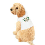 Christmas Pet Hoodie