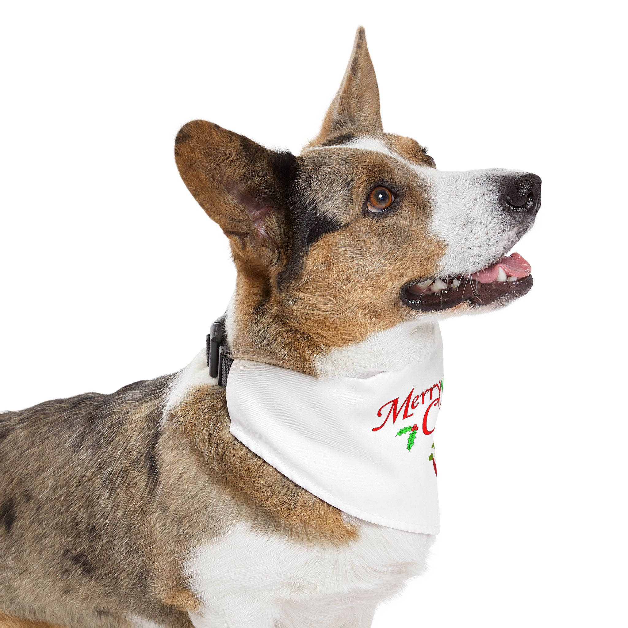 Merry Christmas Pet Bandana Collar - Ruff Paw Pack (White) - Image 11